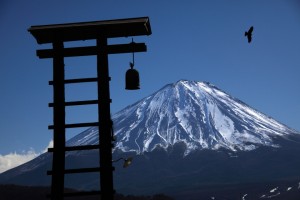 西湖野鳥の森公園