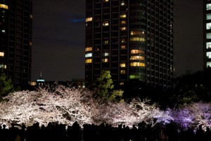 浜離宮恩賜庭園