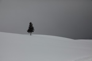 110218_7 厳冬の富良野・美瑛