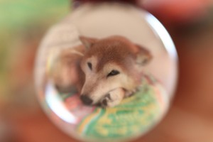 IMG_7352srr 宙玉に挑戦