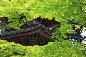 IMG_8666ka たらい舟と五重塔