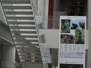 canont3300 写真展2010