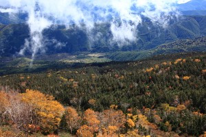 norikura305 乗鞍高原と紅葉
