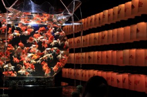 110909_6 ~江戸・金魚の涼~