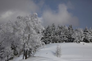 p120210_1 厳寒の志賀高原