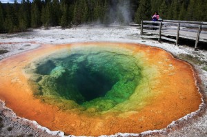 p120606_6 太古の息吹・イエローストーン