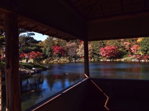 p121121 昭和記念公園 2012秋