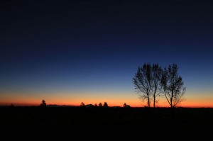 渡良瀬遊水地・2013