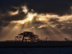 冬の野付半島・釧路