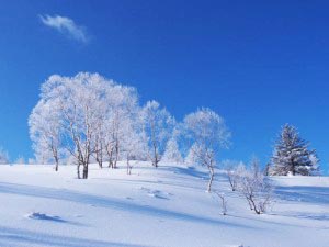 冬の美ヶ原高原