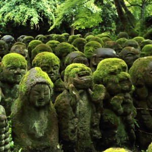 緑・京都に行こう