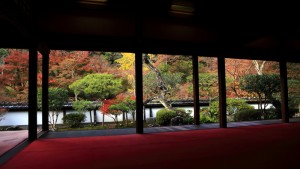 京都・奈良2015秋