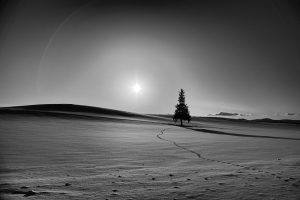 北海道・美瑛　冬の終わり
