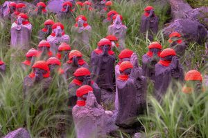 初夏の那須高原